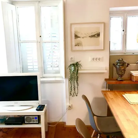 Apartment Doklestic *