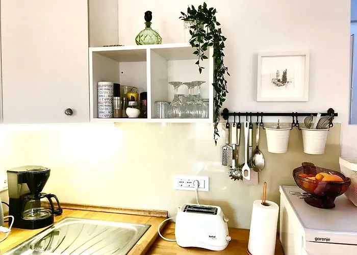 Apartament Doklestic *